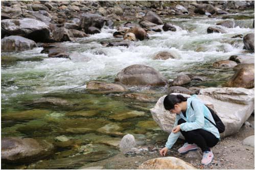 兰科博弈·RankBet(中国)有限公司官网