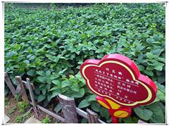 兰科博弈·RankBet(中国)有限公司官网