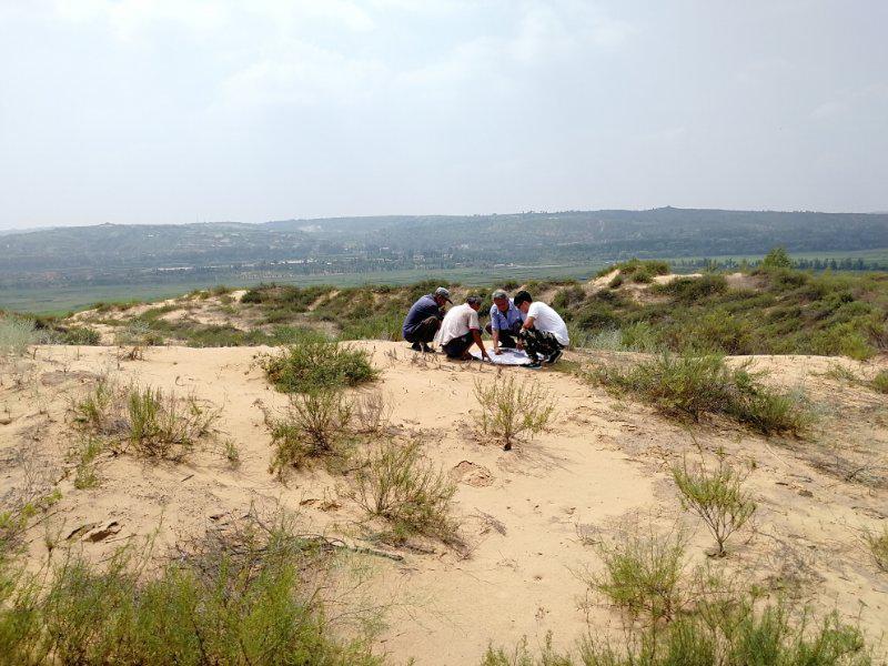 兰科博弈·RankBet(中国)有限公司官网