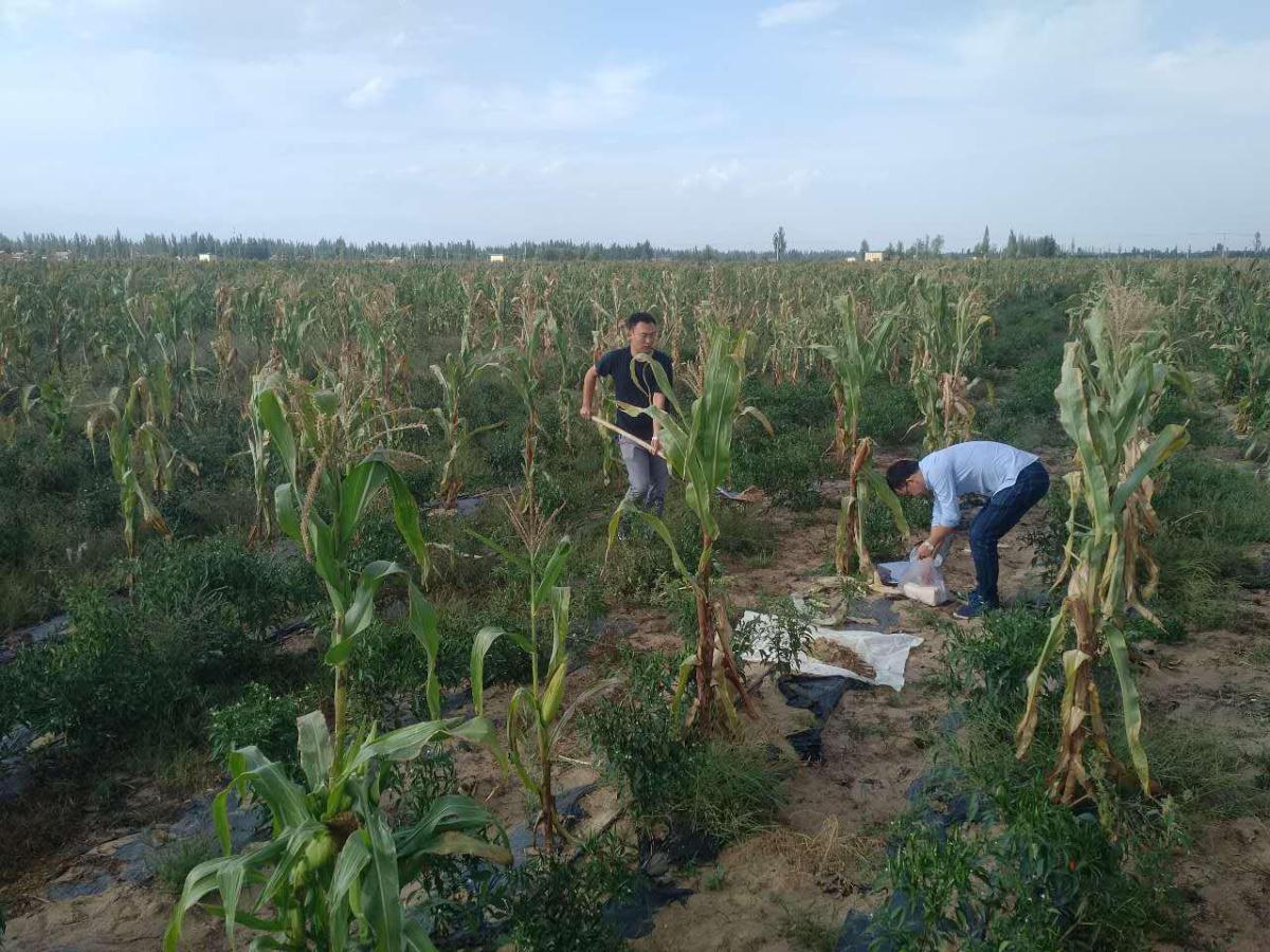 兰科博弈·RankBet(中国)有限公司官网