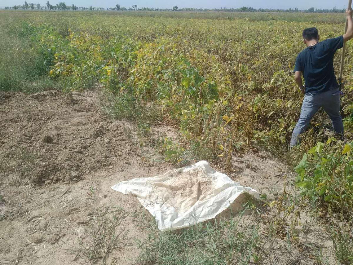 兰科博弈·RankBet(中国)有限公司官网