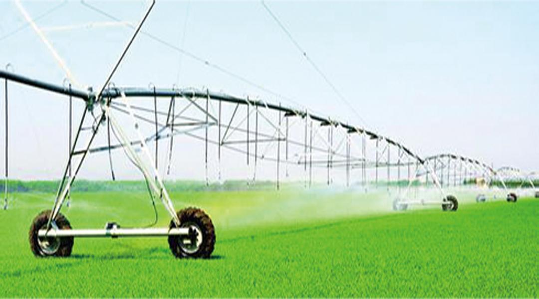 兰科博弈·RankBet(中国)有限公司官网