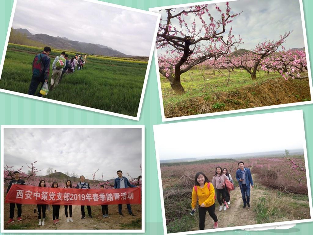 兰科博弈·RankBet(中国)有限公司官网