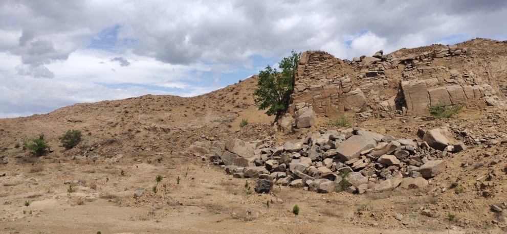 兰科博弈·RankBet(中国)有限公司官网