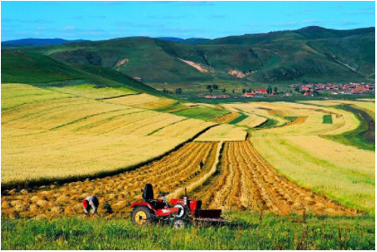 兰科博弈·RankBet(中国)有限公司官网