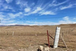 202012100833582368_248x166