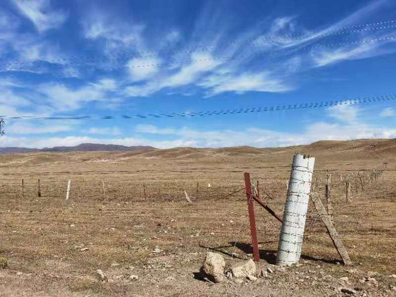 兰科博弈·RankBet(中国)有限公司官网