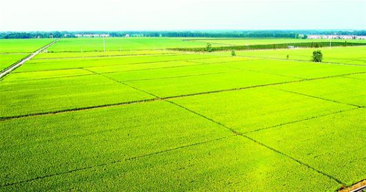 兰科博弈·RankBet(中国)有限公司官网