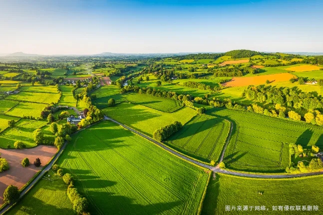 兰科博弈·RankBet(中国)有限公司官网