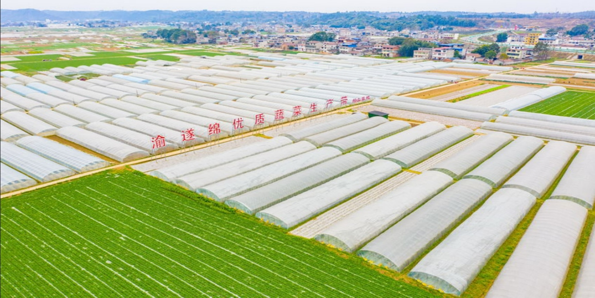 兰科博弈·RankBet(中国)有限公司官网