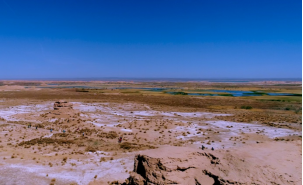 兰科博弈·RankBet(中国)有限公司官网