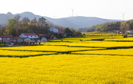 兰科博弈·RankBet(中国)有限公司官网