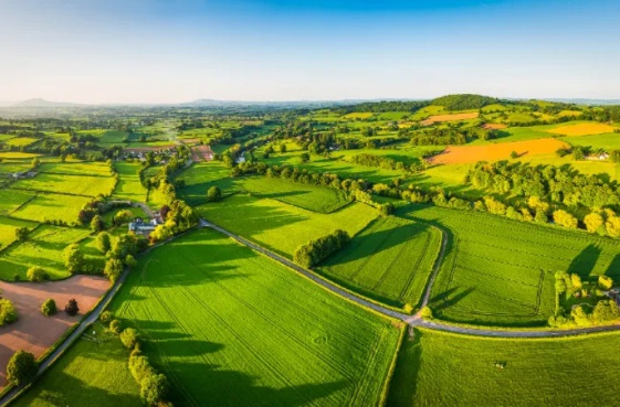 兰科博弈·RankBet(中国)有限公司官网