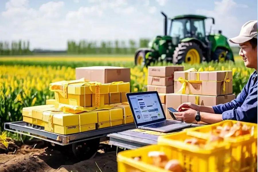 兰科博弈·RankBet(中国)有限公司官网