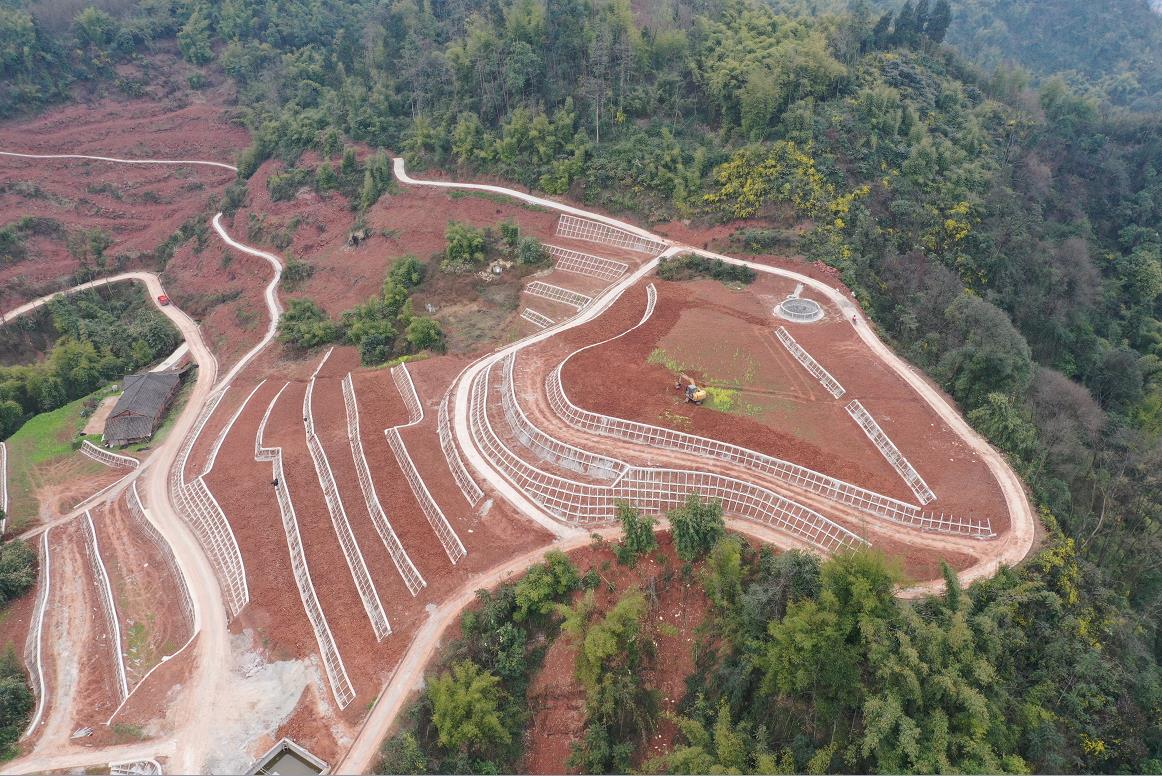 兰科博弈·RankBet(中国)有限公司官网