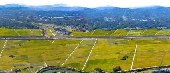 兰科博弈·RankBet(中国)有限公司官网