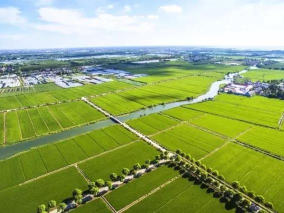 兰科博弈·RankBet(中国)有限公司官网