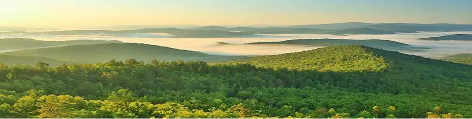 兰科博弈·RankBet(中国)有限公司官网