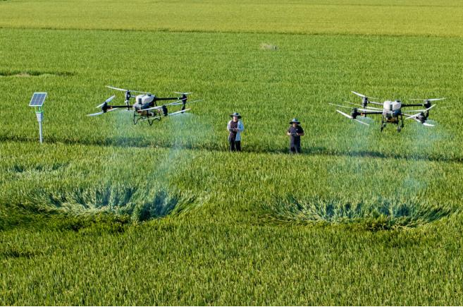 兰科博弈·RankBet(中国)有限公司官网