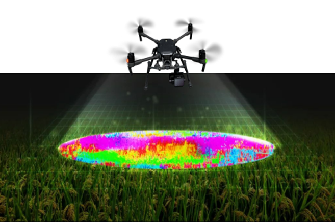 兰科博弈·RankBet(中国)有限公司官网