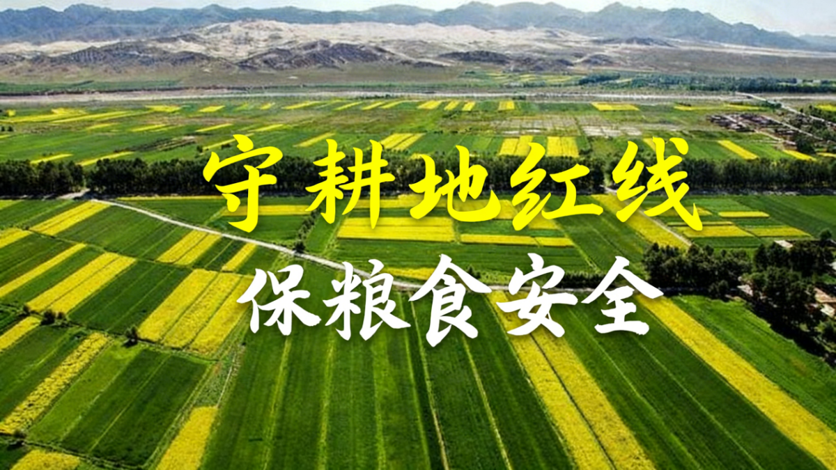 兰科博弈·RankBet(中国)有限公司官网